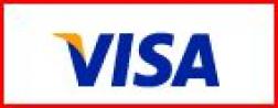 Visa prepaid card logo