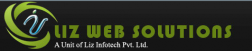 Liz Web Solutions logo