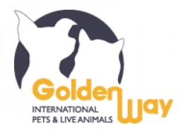 Goldenway International logo