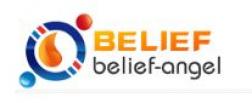 Belief-Angel International Technology Co., Ltd logo
