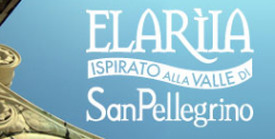 Elariia.com logo