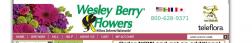 Wesley Berry logo