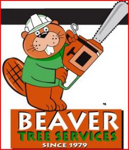 Beaver Tree Services Noosa, Australia logo