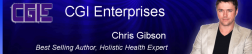 CGI Enterprises logo