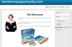 Kim Stevenson eMarketing Online logo