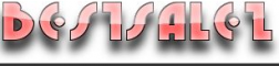 BestSaleZ.com logo