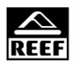 shop.reef.com 888-300-6259 Ca logo