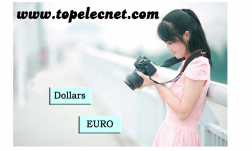 TopElecNet.com logo