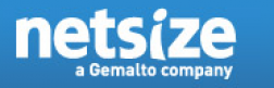 NetSize logo