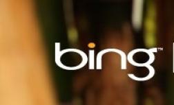 Bing Search Engine logo