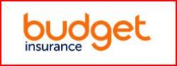 budget insurance group logo