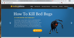 Bed Bug Defense logo