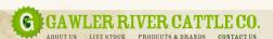 Gawler River Cattle Co logo