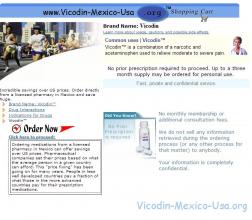 Website Address Vicodin-Mexico-Usa.org logo