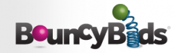 BouncyBids logo