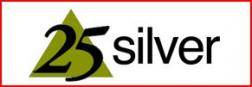 25 Silver Jewelry logo