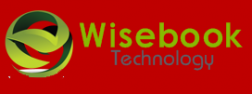 Ella of Shenzhen Wisebook Technology Co.Ltd logo