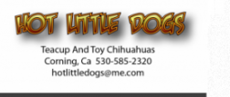 hotlittledogs.com logo