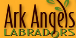 Ark Angel Labradors logo
