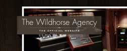 WildHorseAgency.com logo