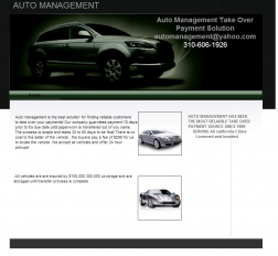 Automanagement.webstarts.com AKA Orlando Auto Management logo