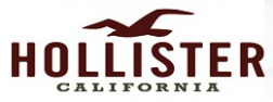 HollisterClothing-Ireland.org/ logo