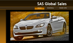 Sas Global Sales logo