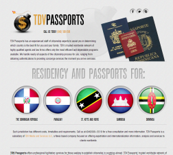 TDV Passports logo