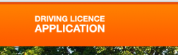 DrivingLicence.uk.com logo