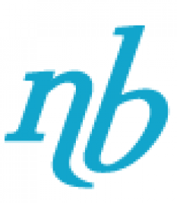 NBCheck.com logo