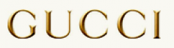 Www.SuperSecretTestServer.com logo