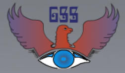 Group Security System Qatar logo