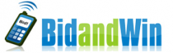 Bid and Win logo