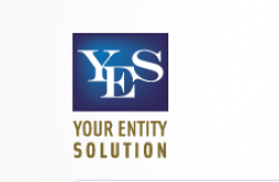 Your Entity Solution (YES) logo