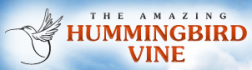 hummingbirdvinesoffer.com/in logo