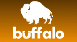 Buffalo Studios  Bingo Blitz logo
