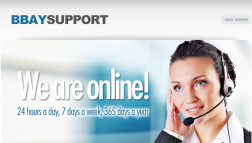 BBaySupport.com logo