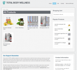 the body wellness logo