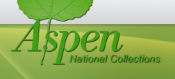 Aspen National Collections logo