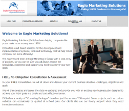 EAGLE MARKET SOLUTIONS IN CHICAGO logo