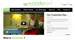WonderGel logo