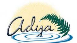 Adya Clarity promoter Julia Mitchell logo