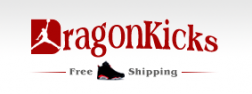 Dragonkicks.com logo