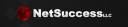 Net Success LLC logo
