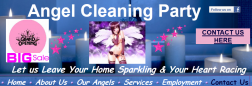 Angel Cleaning Party logo