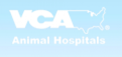 The VCA in Weymouth MA logo