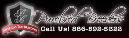 PureBredBreeders.com Aka BuyPuppiesDirect.com logo