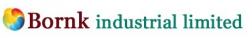 BornkIndustrialLTD.com logo