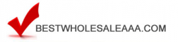 bestwholesaleaaa.com logo