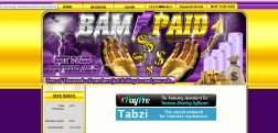 BamPaid logo